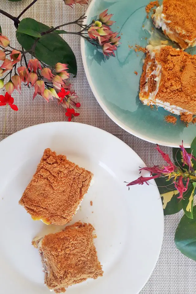 Delicious Mango Float, Mom Food Blog, Yummy Dessert, Graham Mango Float Easy Recipe