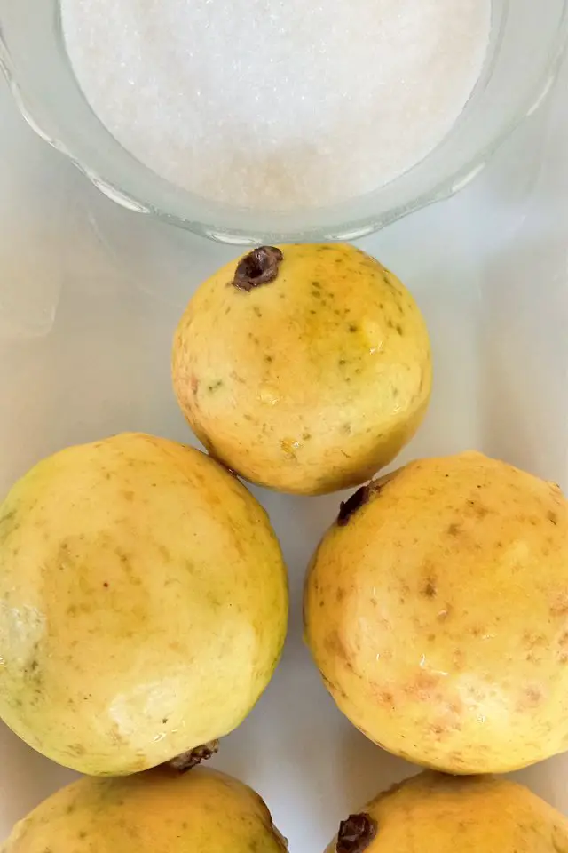 Guava Jam Ingredients, Mom Food Blog