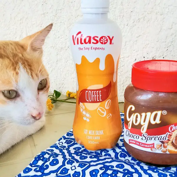 Vitasoy Coffee Milk and Goya Choco Spread, Mom Food Blog