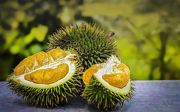 Durian vs Jackfruit: What is the Difference