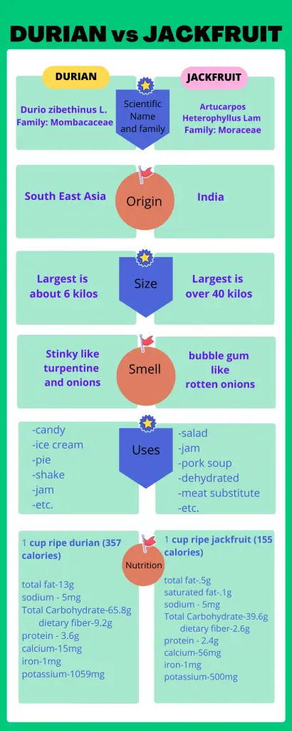 durian vs jackfruit infographic, Mom Food Blog