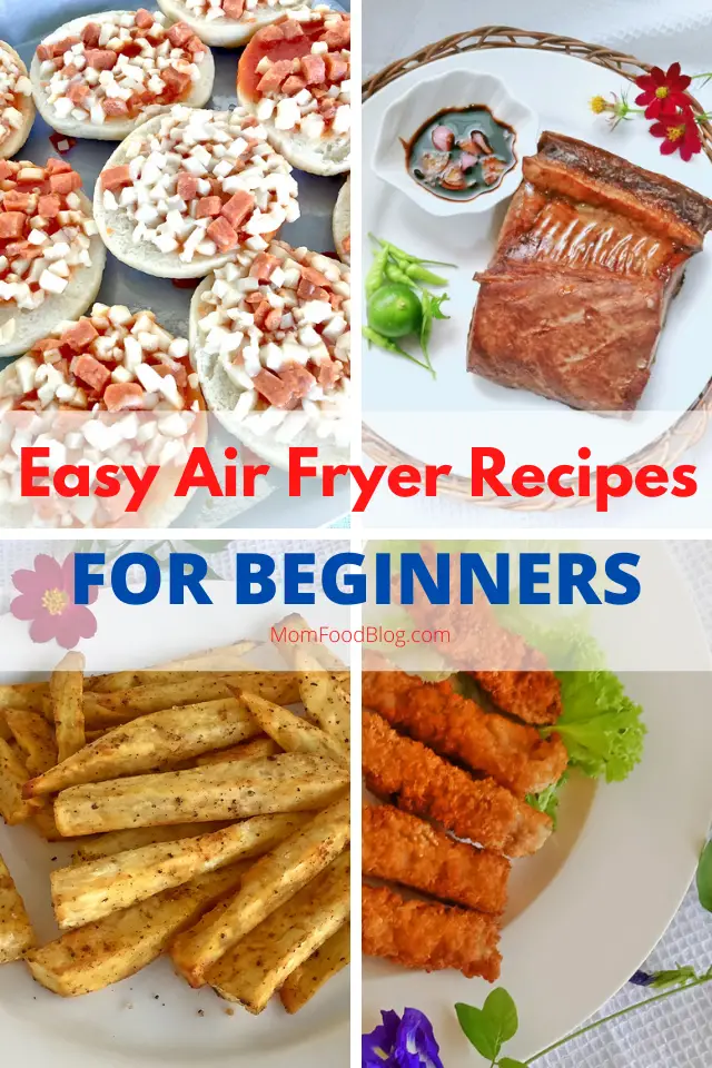 air fryer recipes for beginners, Mom Food Blog